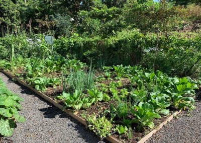 Jardins partagés Amédée