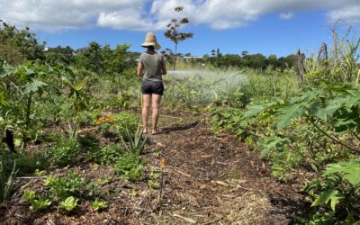 16 Mars 2021 – Le jardin expérimental évolue…