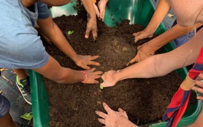 23 Mars 2021 – C’est l’heure du bilan pour l’école du jardin planétaire…