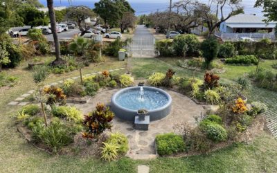 6 et 7 juin 2026 : Rdv aux jardins au jardin du FRAC à Saint-Leu