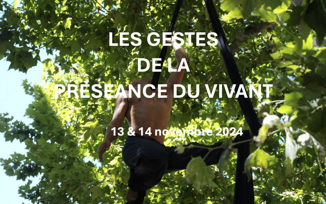 13 novembre 2024 : Communication pour la mise en réseau des écoles du jardin planétaire