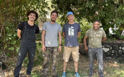 28 mai 2026 : On jardine ensemble ! au coeur du jardin du Frac